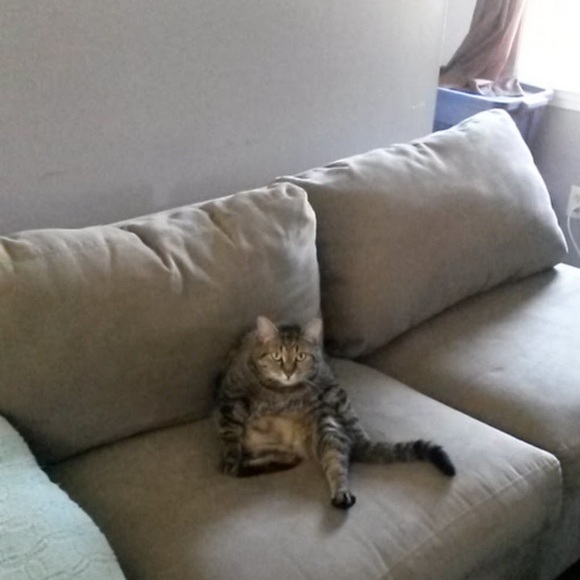 Meet your Posher, Chad - Picture 1 of 1